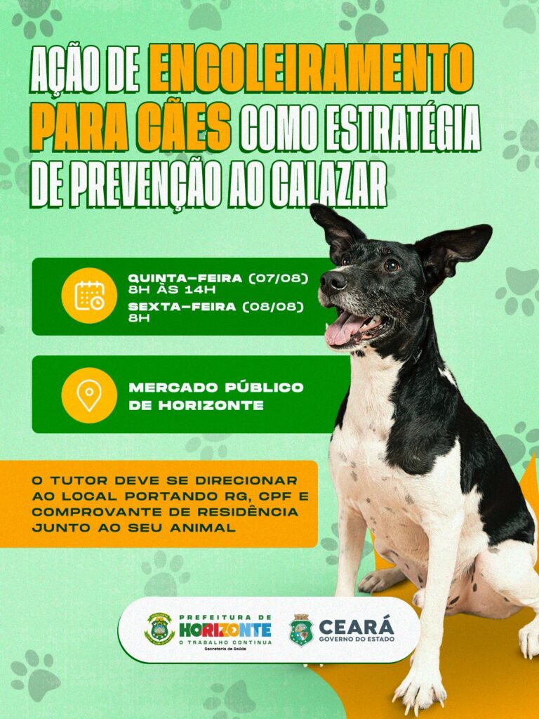 WhatsApp Image 2025 08 06 at 10.42.34 2 - Prefeitura de Horizonte